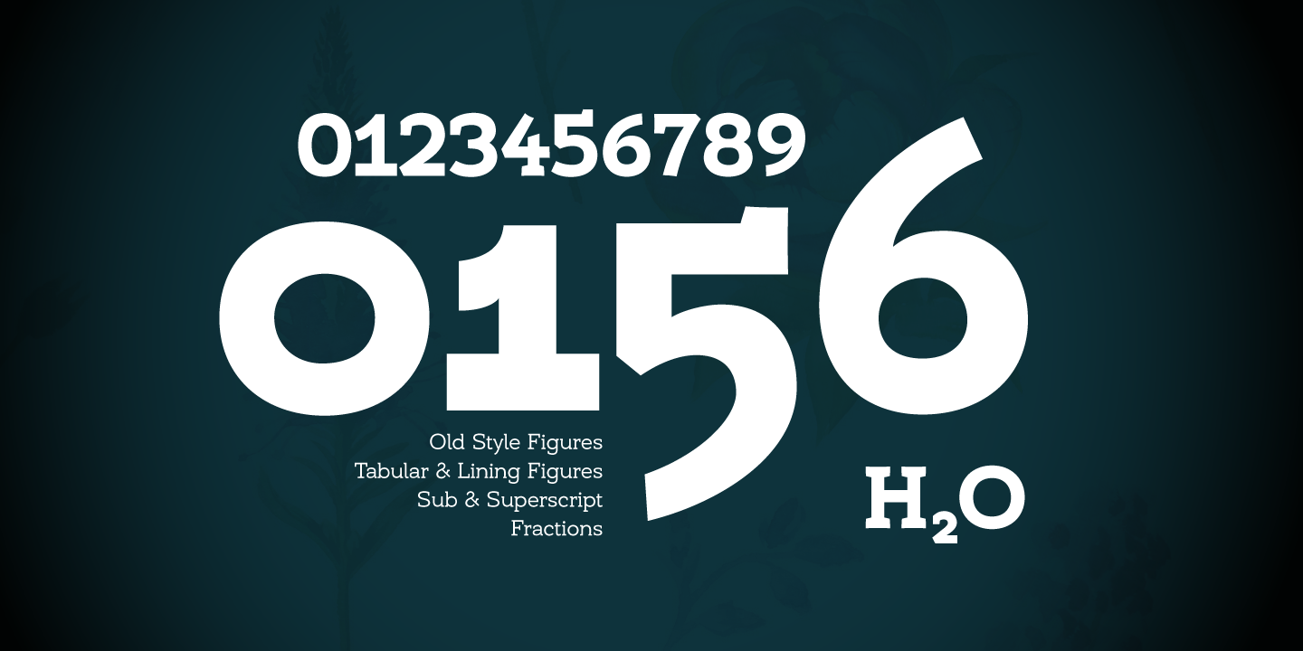 Example font Umba Slab Alt #3
